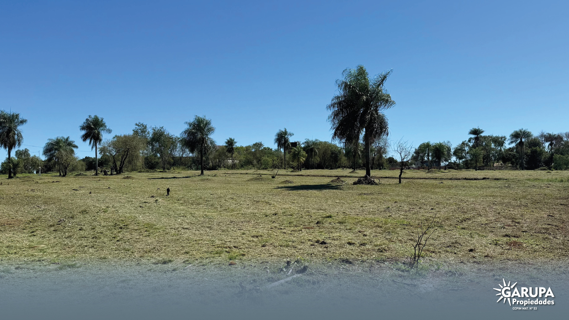 Gran Terreno - Bº Don Santiago
